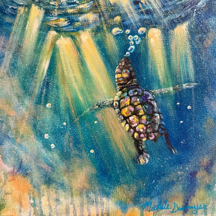 Hope Above