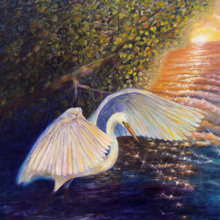Light of Promise